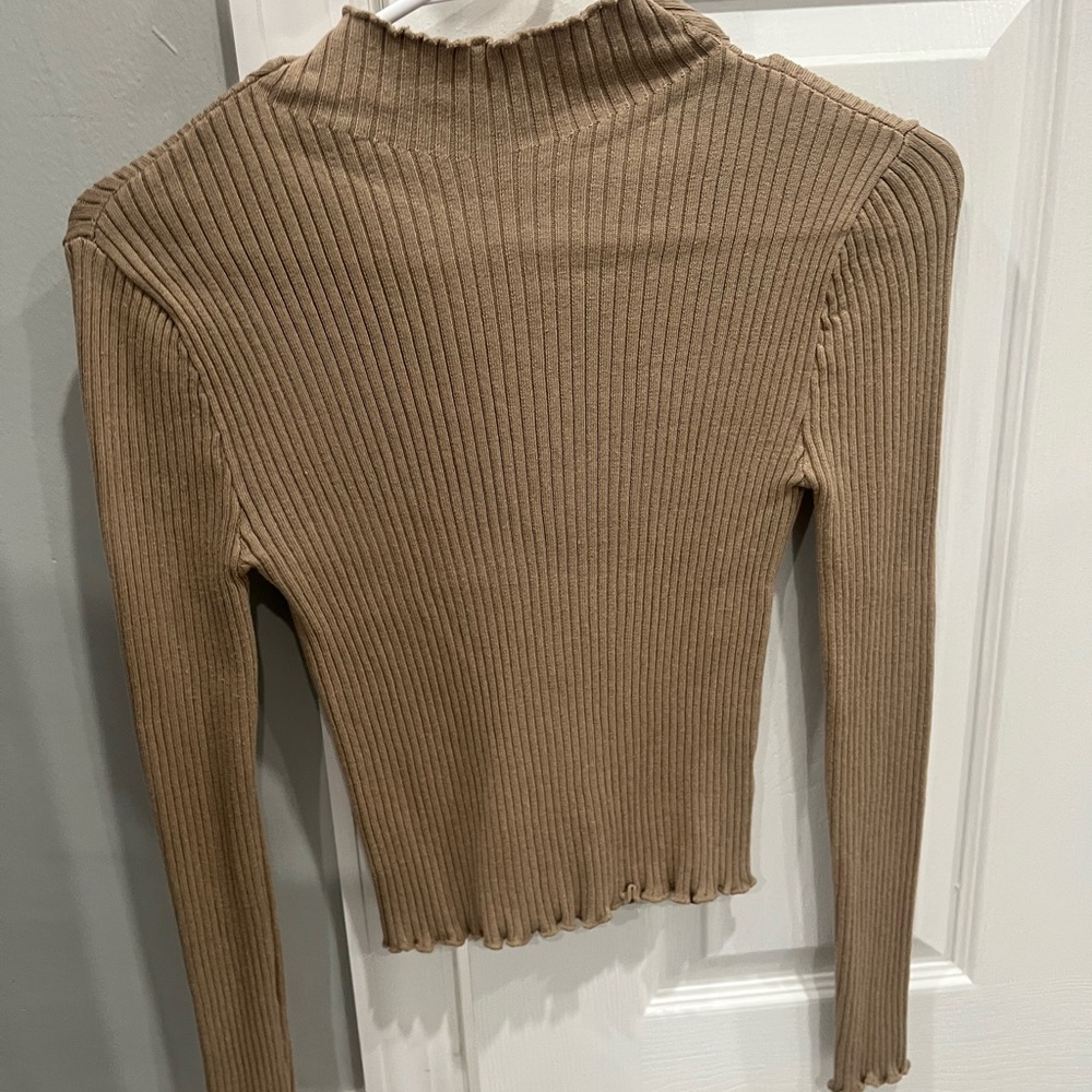 Brown turtleneck